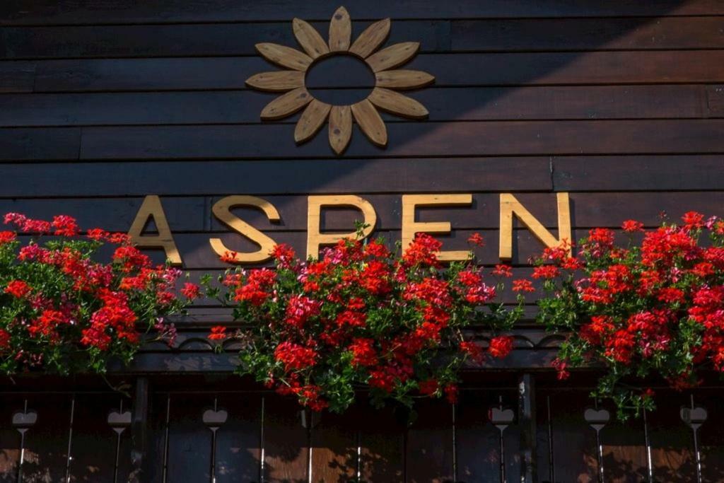 Appartamento Aspen Nová Lesná Esterno foto