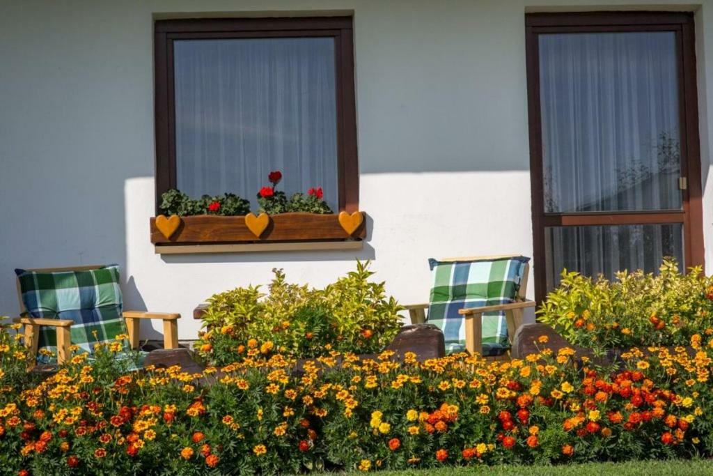 Appartamento Aspen Nová Lesná Esterno foto